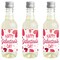 Big Dot of Happiness Happy Galentine's Day - Mini Wine & Champagne Bottle Label Stickers - Valentine's Day Party Favor Gift for Women & Men Set of 16